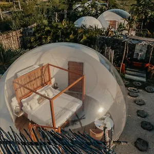 https://greenland-bubble-glamping.comcaribbean.com